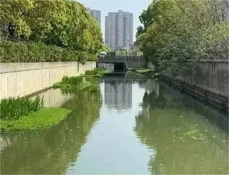 相城区变电所浜生态修复-景观优化，水质提升