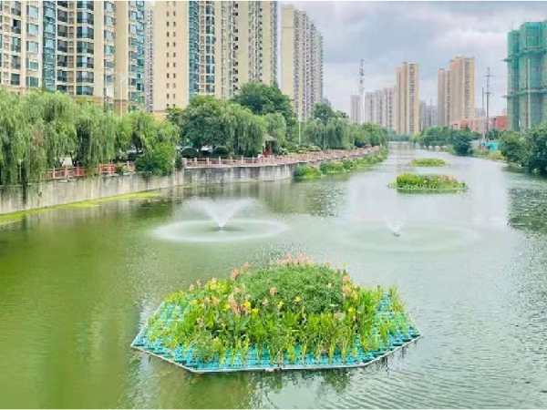 无锡市市考断面桐桥港、冷渎港、东亭港水质提升工程