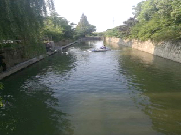 温州市平阳县隧洞河河道生态修复项目