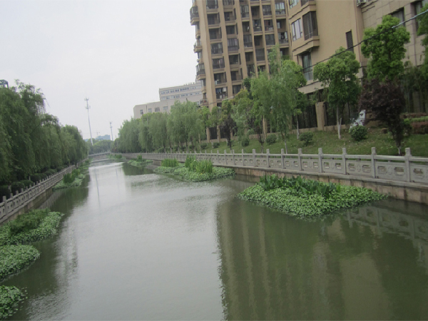 芜湖市三山区上游主沟龙塘支渠河道生态修复项目