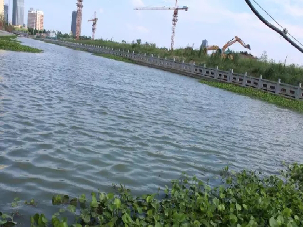 昆山市白洋湾竖头浦河道生态修复项目