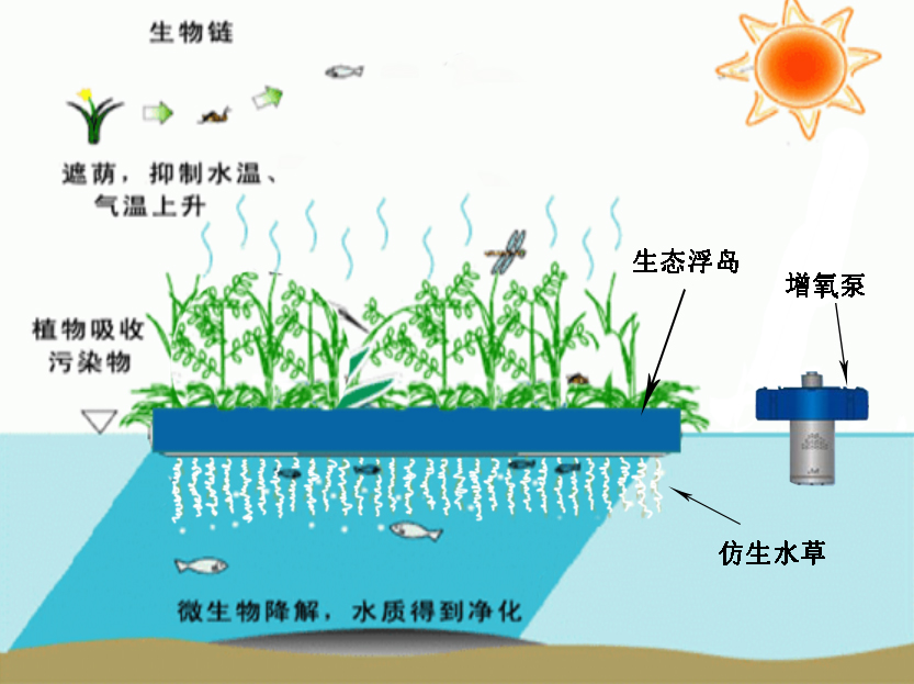 自净修复技术——生物巢增效生态浮床
